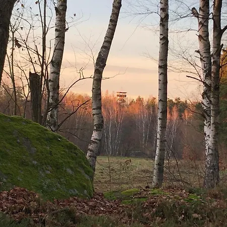 Apartment „gmuender Hof“