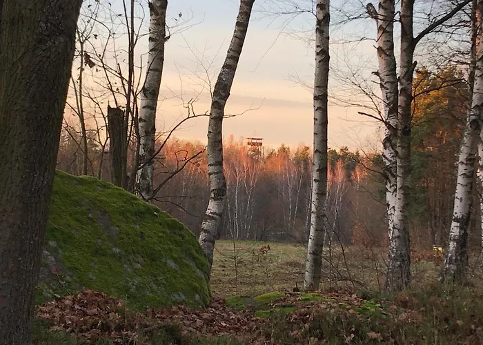 Apartment „gmuender Hof“